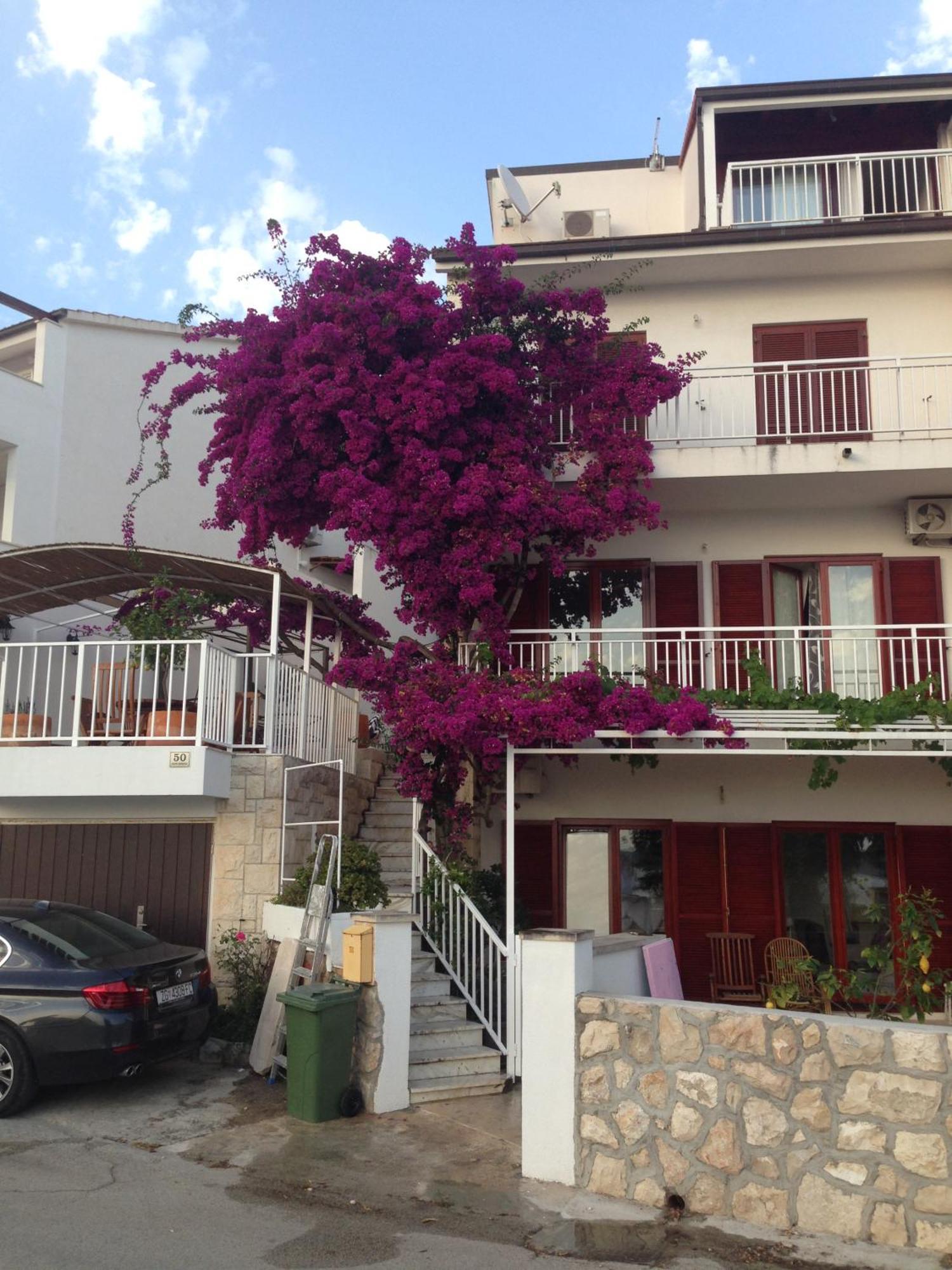 Apartment Duda Hvar Town Dış mekan fotoğraf